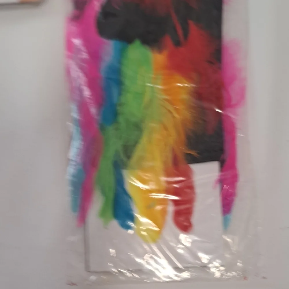 Rainbow Vibrant Feathered Party Mask with Jewel Accents Bundle